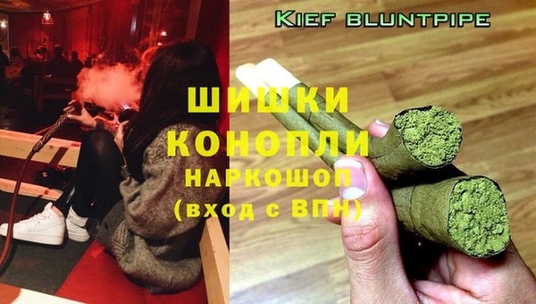 прущие крисы Великий Новгород