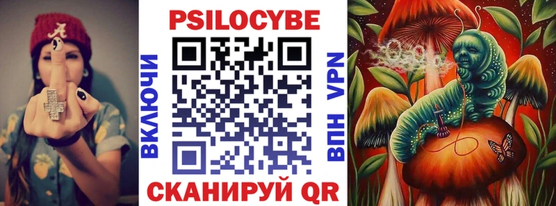 Галлюциногенные грибы Psilocybine cubensis Липецк