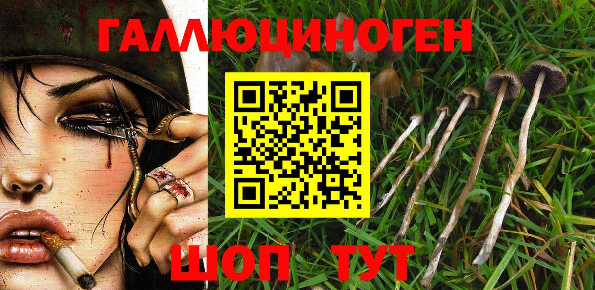 Галлюциногенные грибы MAGIC MUSHROOMS Липецк